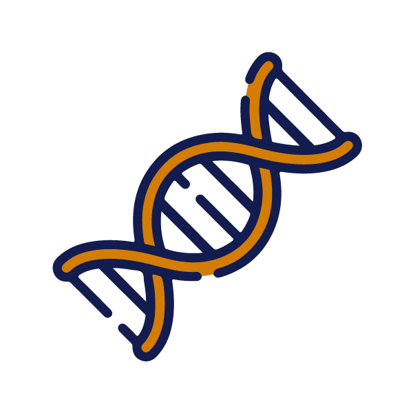 ADN